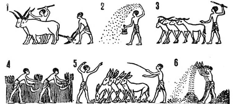 Рис. 8. Земледельческие работы в Древнем Египте. Аппликации